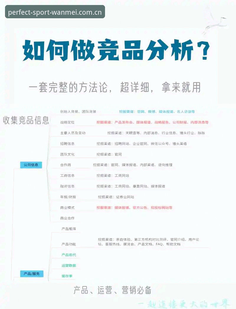 完美体育竞品对比详解：新手如何选择最适合自己的平台