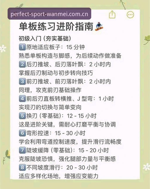 完美体育官方认证详解：从入门到精通的完整指南